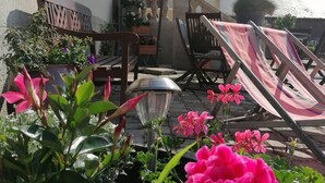 A patio with potted plants, a bench, and lounge chairs.