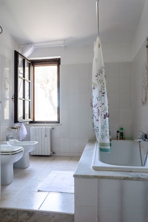 Ducha, secador de pelo, bidet