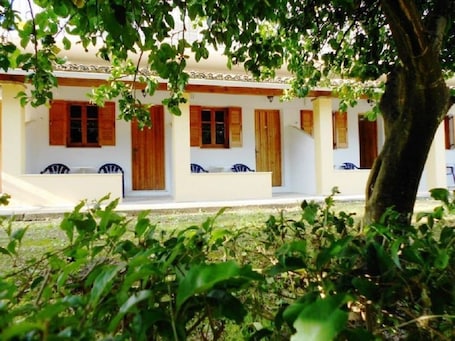 Property grounds. Anemona Studios