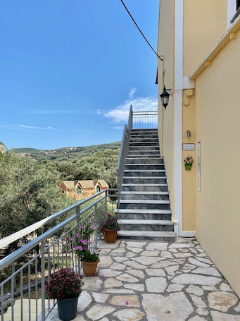 Staircase. Anemona Studios