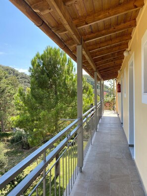 Estudio | Exterior