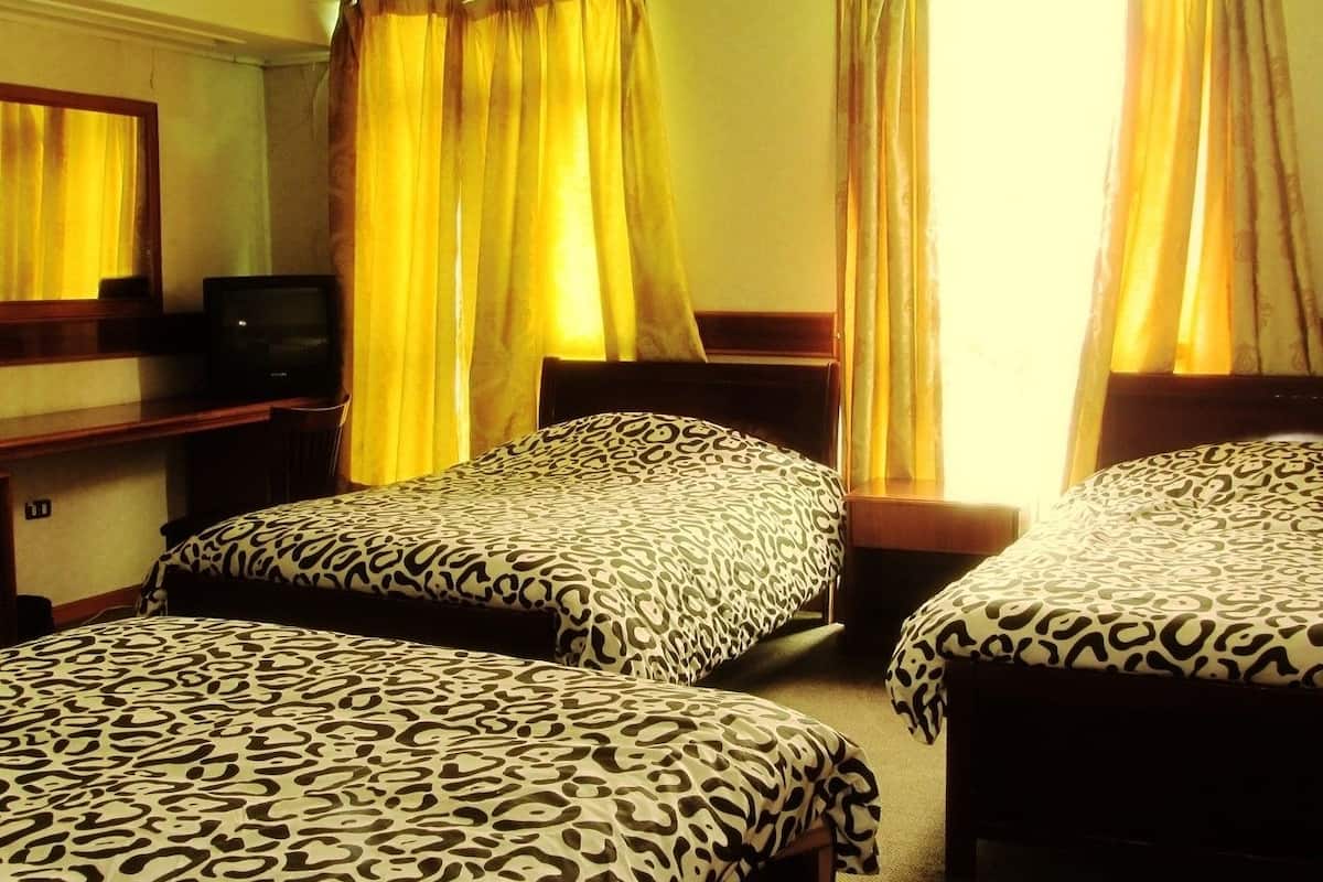 Triple Room, Multiple Beds | Desk, iron/ironing board (on request), free WiFi, bed sheets