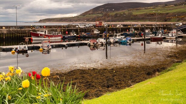 A harbor with boats docked, a grassy area with yellow flowers, and a hilly landscape in the background. - The Bridge Guest House (Helmsdale)