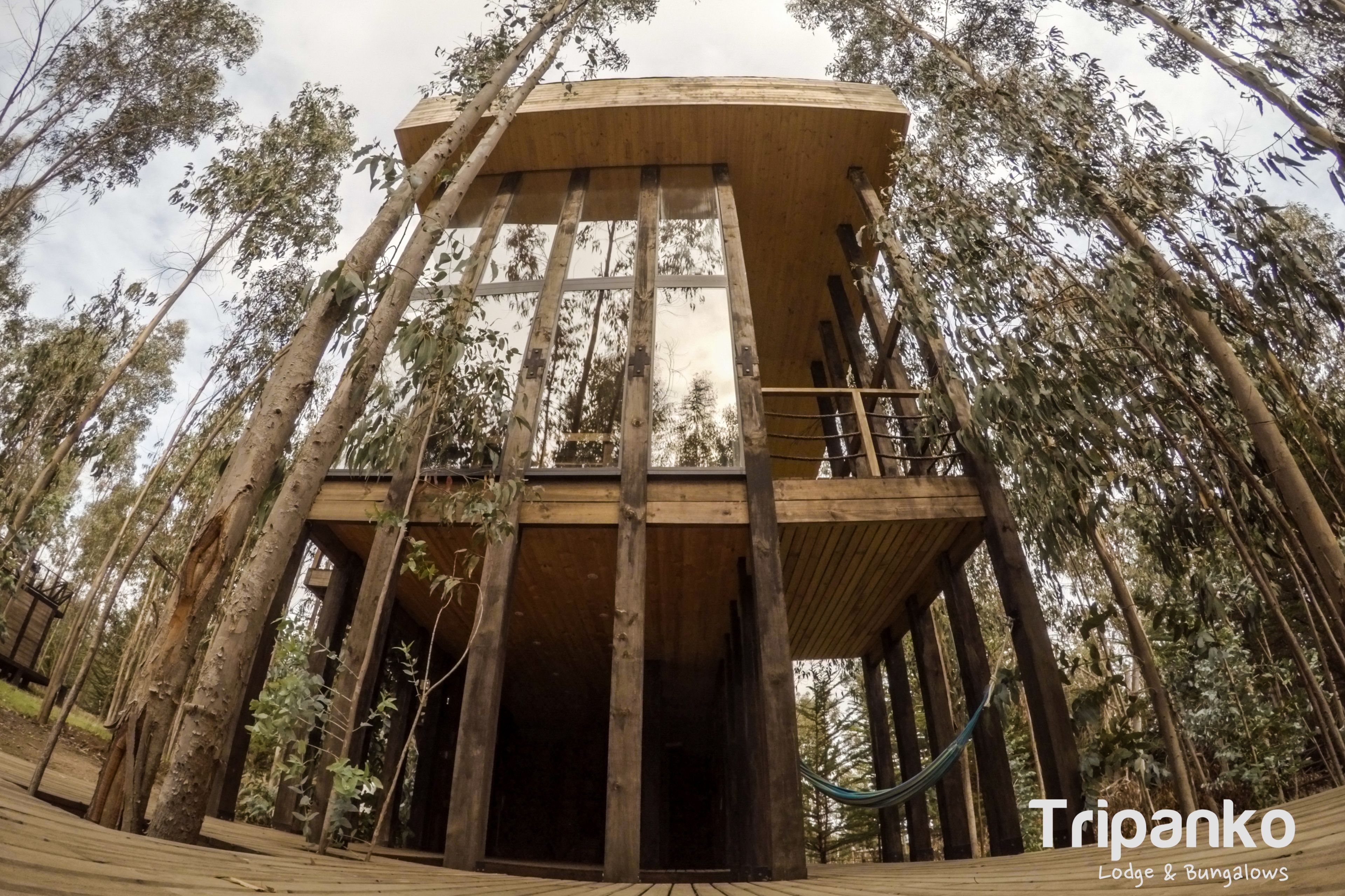 Bangalô luxo, 1 quarto | Área de estar