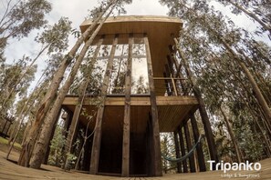 Deluxe-bungalow, 1 makuuhuone | Oleskelualue