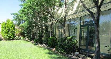 Lo Raco de l’Olivera