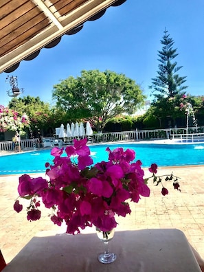 Poolside bar - Grand Ada Family Hotel (Erdemli)
