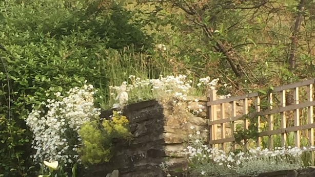 A garden with a stone wall, various plants, and a wooden fence. - Highbury Garden Suite (Boncath)