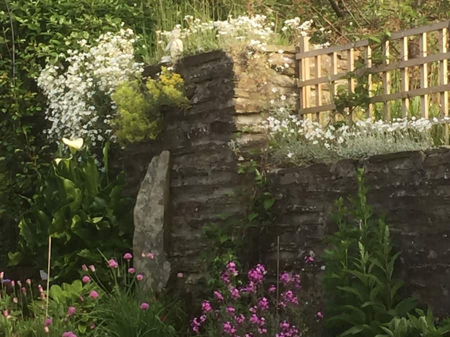 Área da propriedade