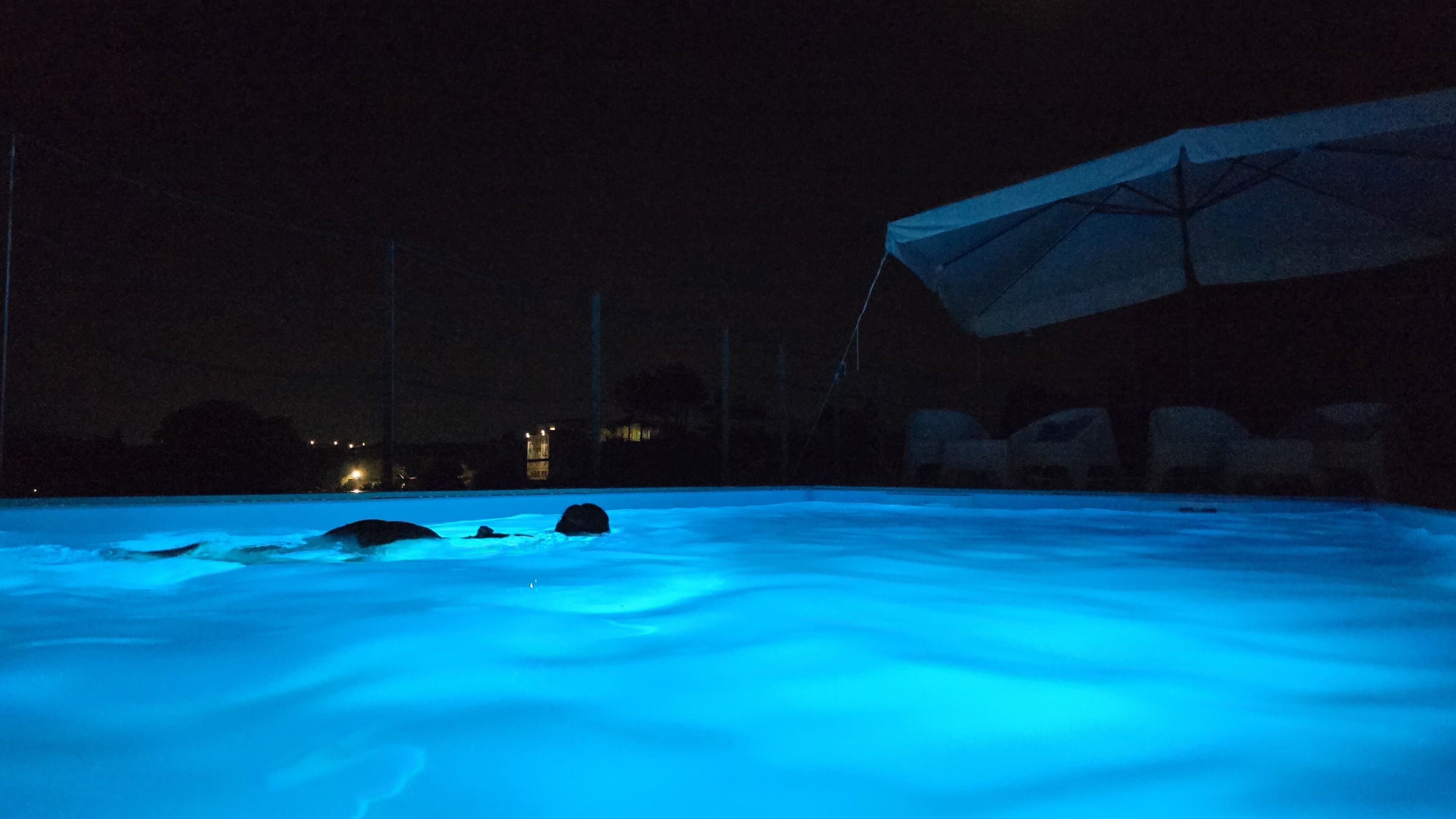 Una piscina iluminada con luces azules en la noche.