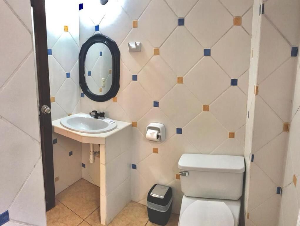 A small bathroom with a white sink, a mirror, a toilet, and a trash bin.