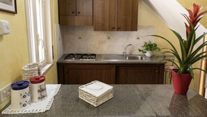 Een kleine keuken met houten kastjes, een gasfornuis en een spoelbak. Op het aanrecht staan keukengerei en een potplant.
