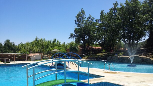 A swimming pool with a diving board, a fountain, and a surrounding area with trees and a fence.