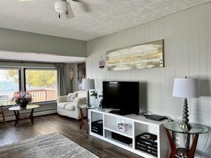 Flatskjerm-TV, DVD-spiller og filmbibliotek