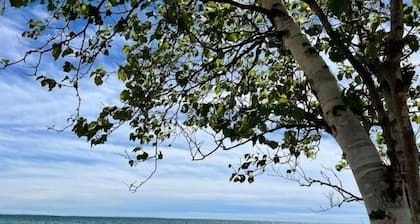 Noc's Landing: Autumn Bliss at Noc's Landing – Fall Colors & Cozy Vibes