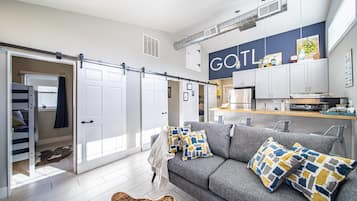 Smart TV, fireplace, books