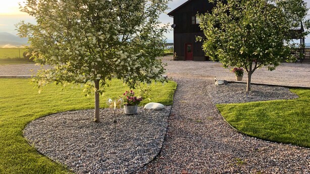 A gravel pathway leading to a rustic barn with a red door, surrounded by lush greenery and flowering trees. - Blacktail Inn & Stations (Dillon)