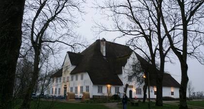 Mukavasti kalustettu huoneisto olkikattoinen talo suuri puutarha