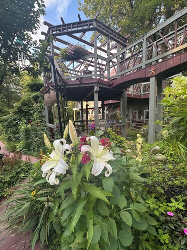 Tree house  lots birds  great location . ..... lots to do all summer long ......