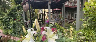 Tree house  lots birds  great location . ..... lots to do all summer long ......