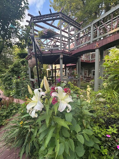 Tree house lots birds great location . ..... lots to do all summer long ......
