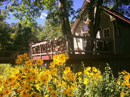 Tree house  lots birds  great location . ..... lots to do all summer long ......