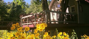 Tree house  lots birds  great location . ..... lots to do all summer long ......