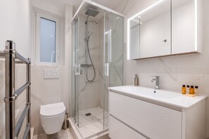 Shower, hair dryer, towels