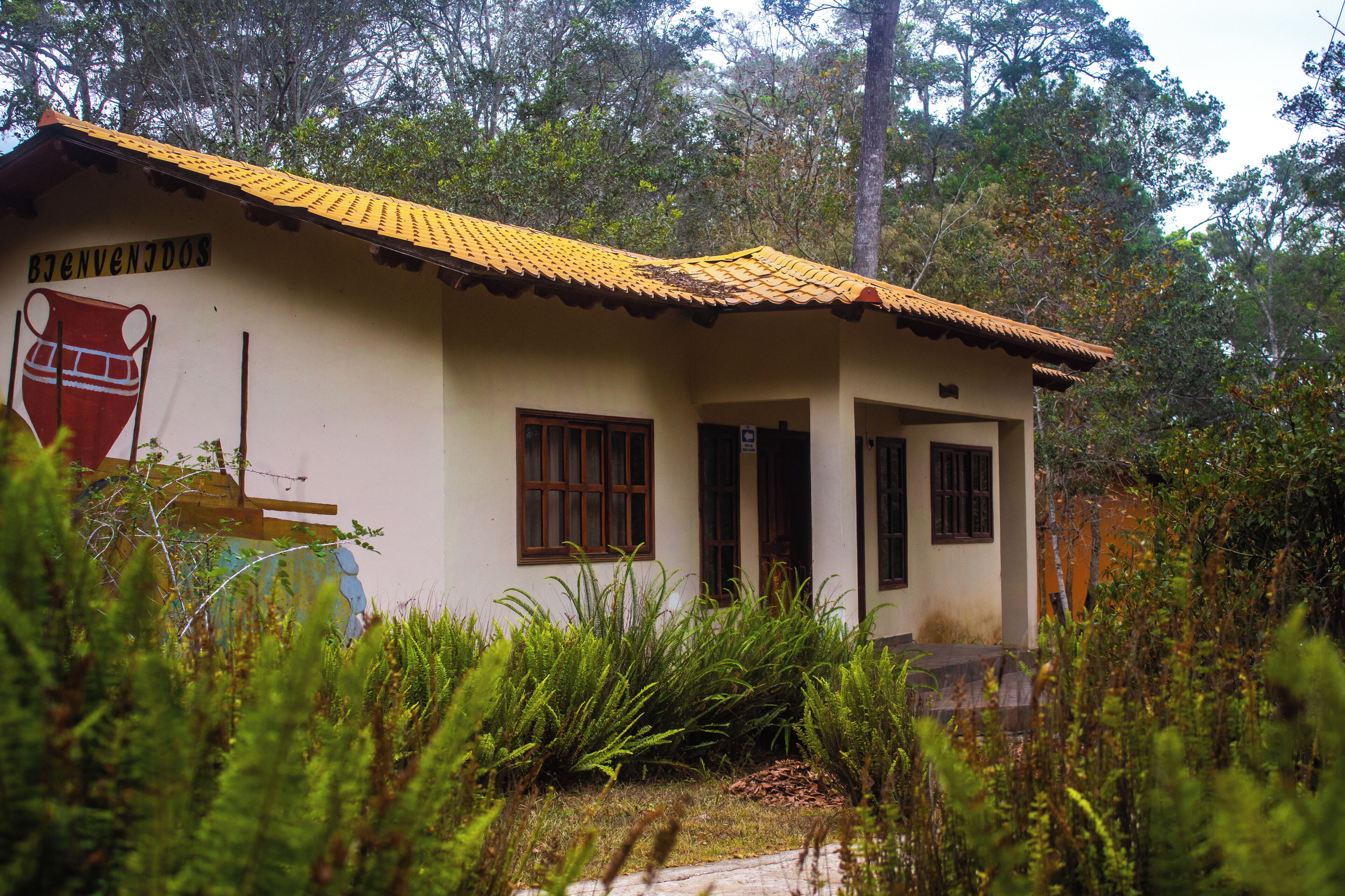 deluxe single room | garden view