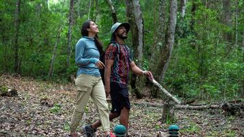 Two people walking in a forested area with trees and fallen leaves on the ground.