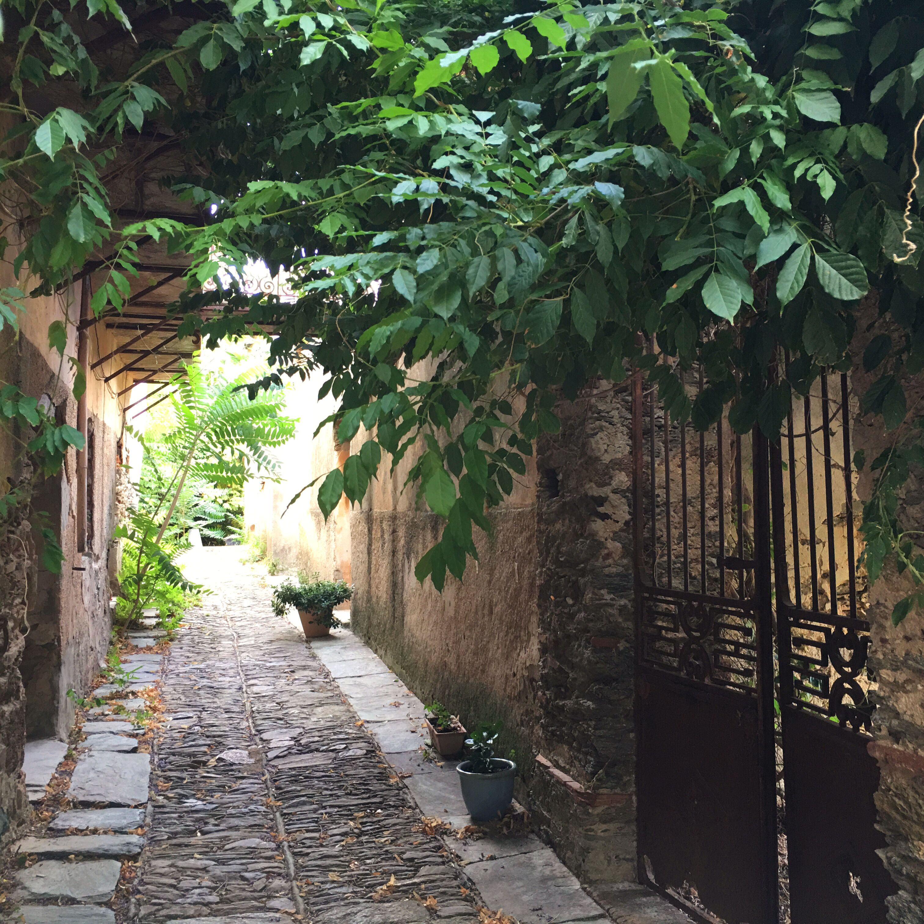 Une ruelle étroite pavée de pierres, bordée de murs en pierre de chaque côté, avec une grille en métal et des plantes en pot le long du chemin.