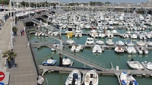 A marina with numerous boats docked in calm waters, a pedestrian walkway, and a clear sky.