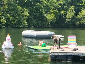 Property grounds - Immersed in Nature. Hiking, fishing, swimming, birdwatching, stargazing & yoga. (Langsville)