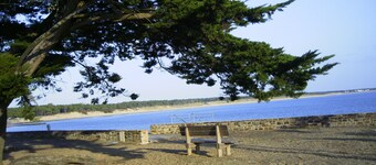 House / Villa - Jard Sur Mer