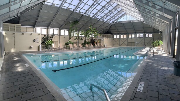 Une piscine intérieure à l’eau claire, entourée de chaises longues et de plantes en pot.