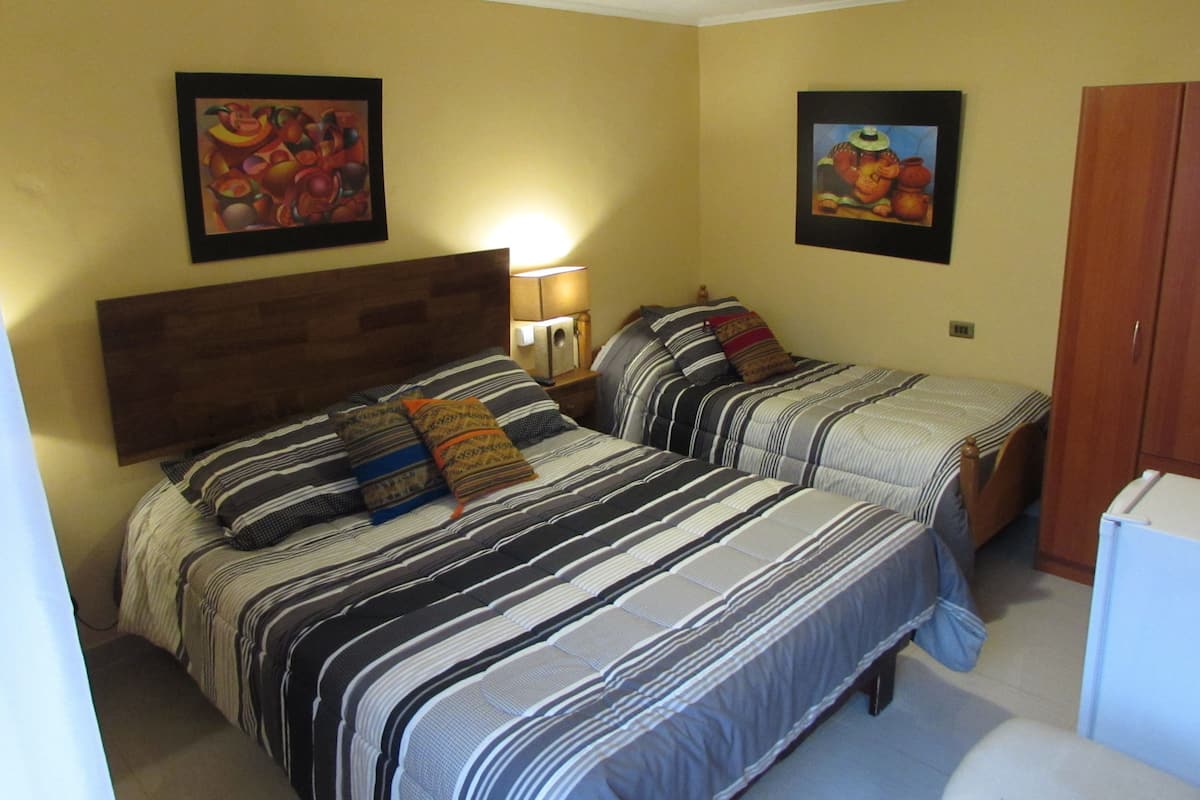 Minibar, tabla de planchar con plancha, wifi gratis y ropa de cama