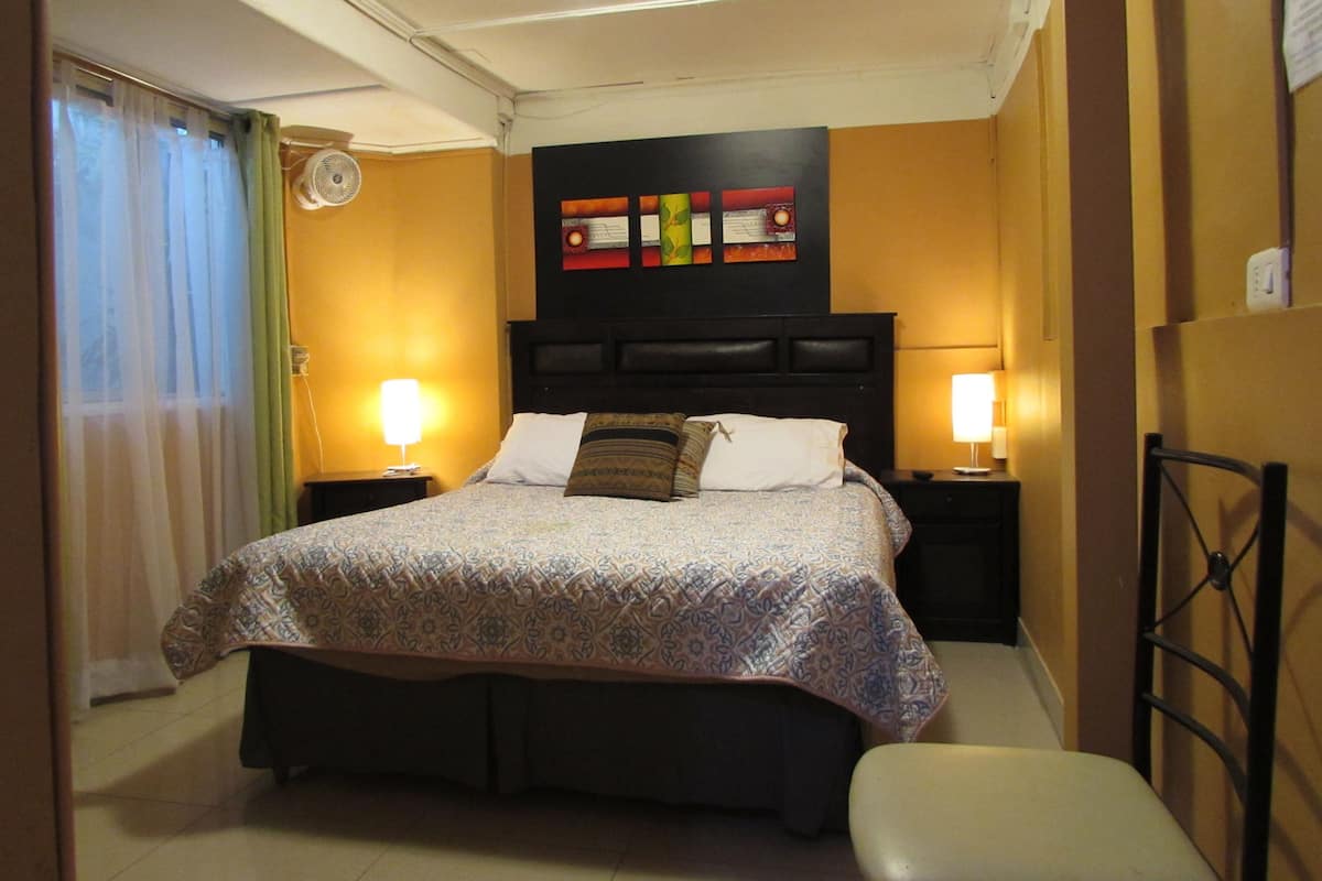 Minibar, tabla de planchar con plancha, wifi gratis y ropa de cama