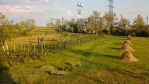 A rural landscape with fields, hay bales, and power lines. - Belegania (Oarja)
