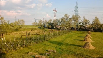 住宿景觀
