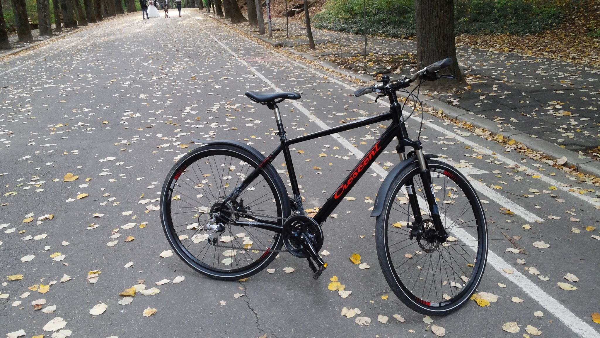 Una bicicleta estacionada en una calle bordeada de árboles con hojas caídas.