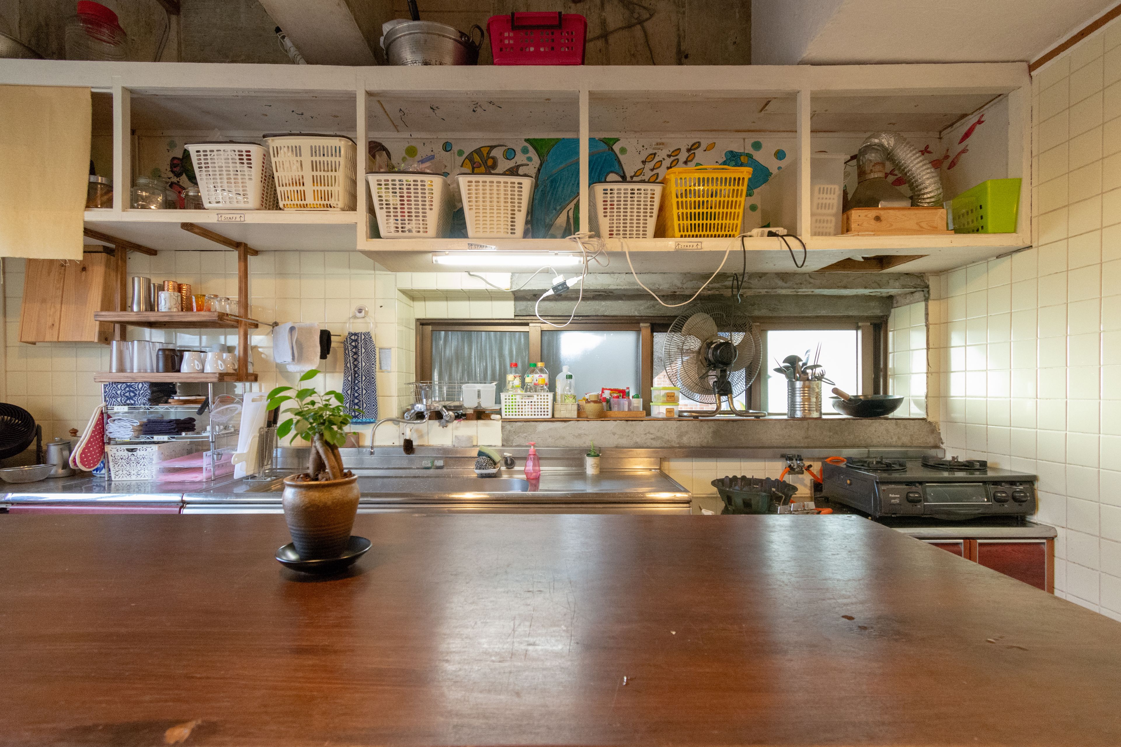 Una cocina con encimera de madera, una planta en maceta y distintos utensilios de cocina en estantes.
