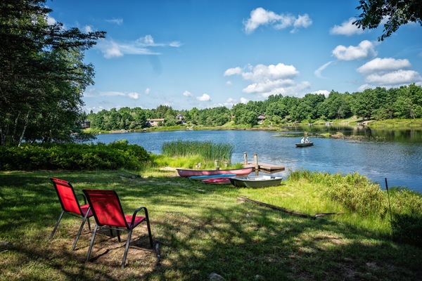 Backyard,
Lake Deer Pond