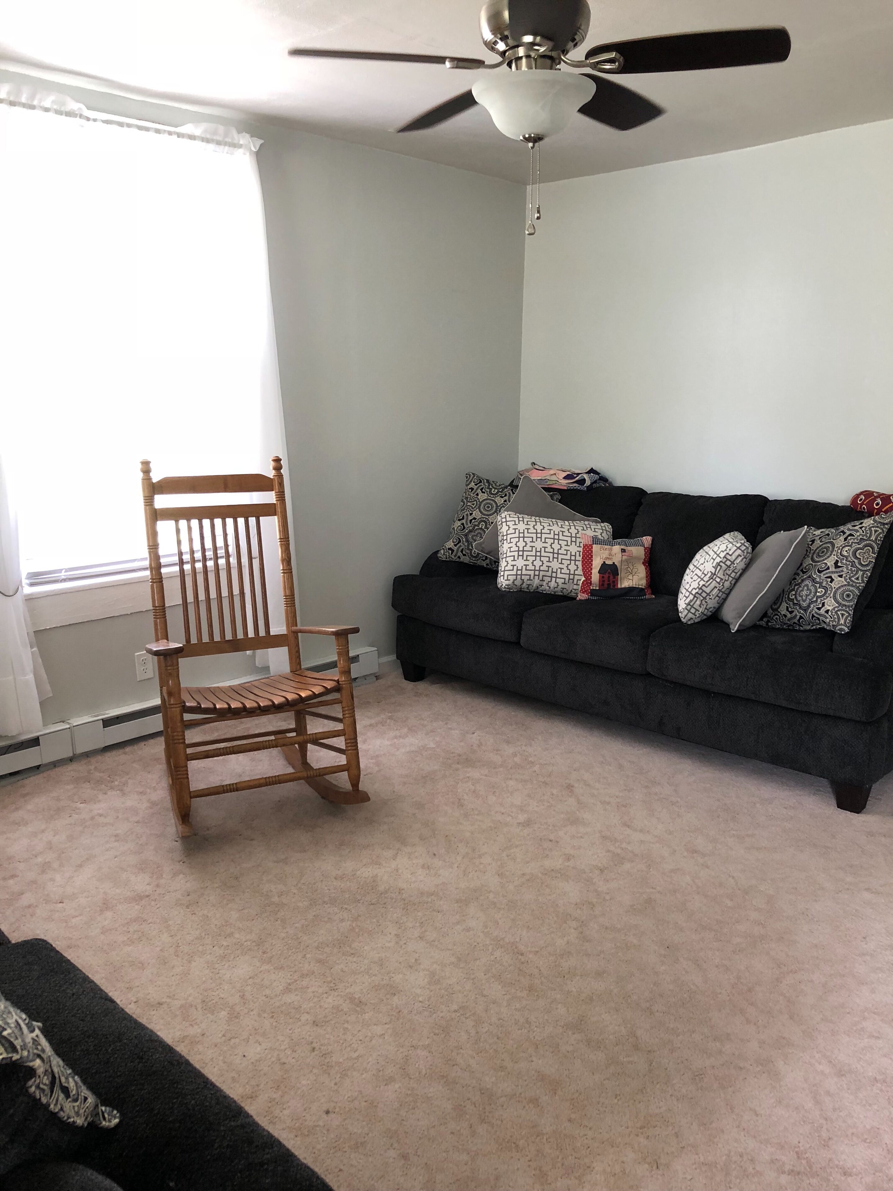 TV, DVD player, video library