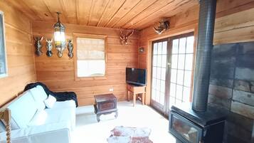 TV, fireplace, DVD player