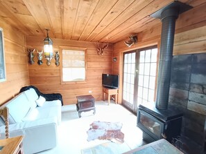 TV, fireplace, DVD player