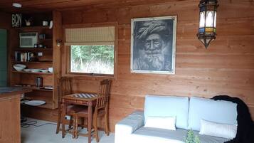 TV, fireplace, DVD player