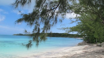 Sun loungers, beach towels