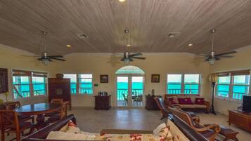 TV, DVD player, books, video library