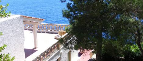 المنطقة المحيطة بالمنشأة