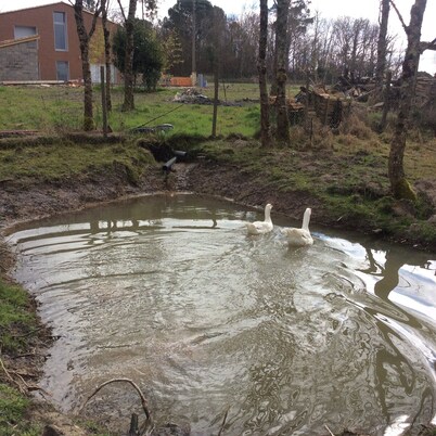 Beautiful house 170 m2, heated and covered swimming pool, jacuzzi, classified 4 stars.